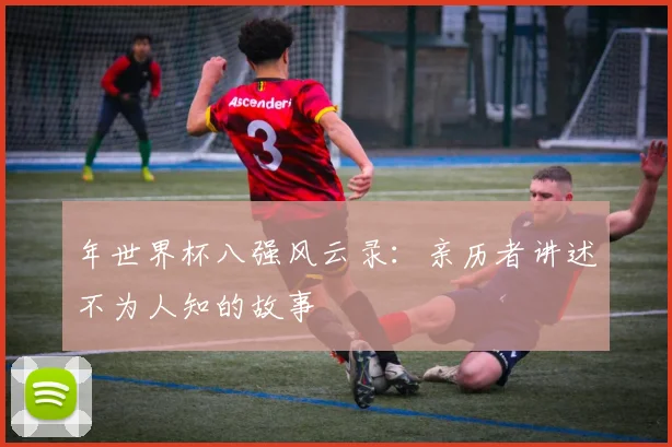 年世界杯八强风云录：亲历者讲述不为人知的故事