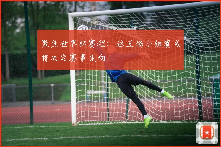 聚焦世界杯赛程：这五场小组赛或将决定赛事走向