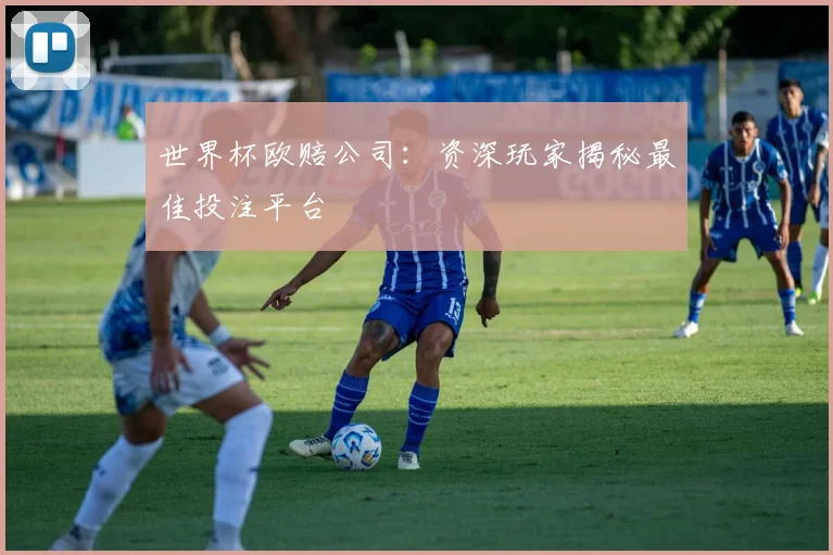 世界杯欧赔公司：资深玩家揭秘最佳投注平台