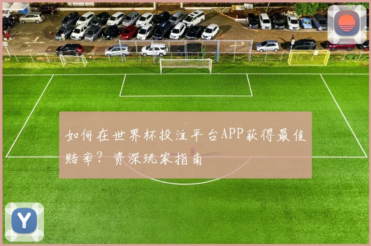 如何在世界杯投注平台APP获得最佳赔率？资深玩家指南