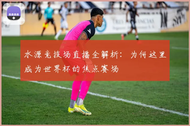 水源竞技场直播全解析：为何这里成为世界杯的焦点赛场