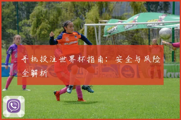 手机投注世界杯指南:安全与风险全解析