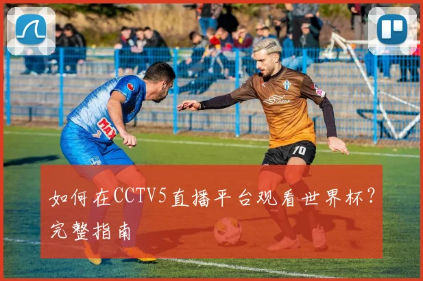 如何在CCTV5直播平台观看世界杯？完整指南