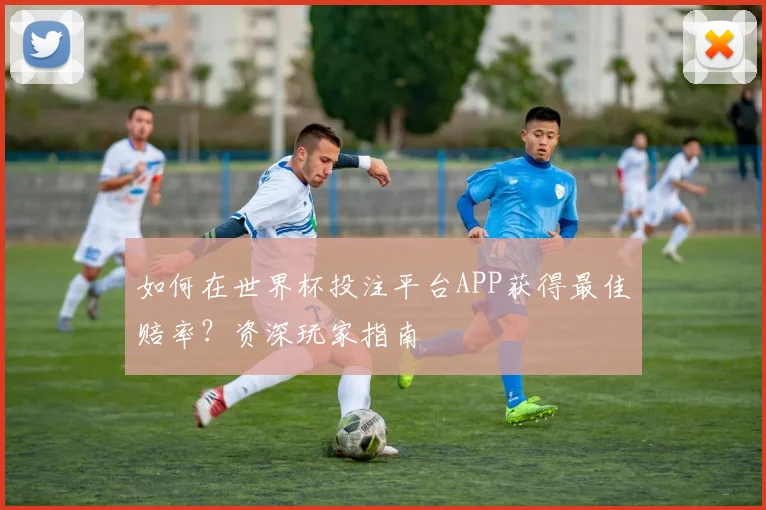 如何在世界杯投注平台APP获得最佳赔率？资深玩家指南