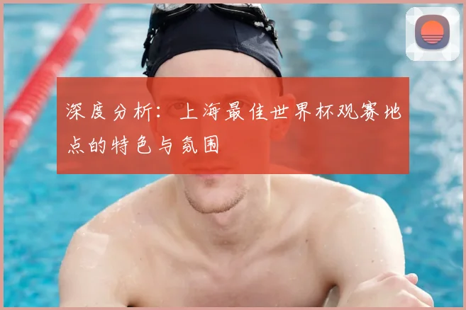 深度分析:上海最佳世界杯观赛地点的特色与氛围