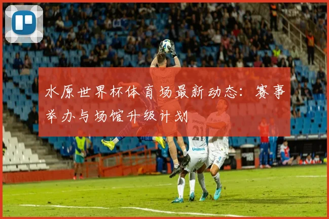 水原世界杯体育场最新动态：赛事举办与场馆升级计划