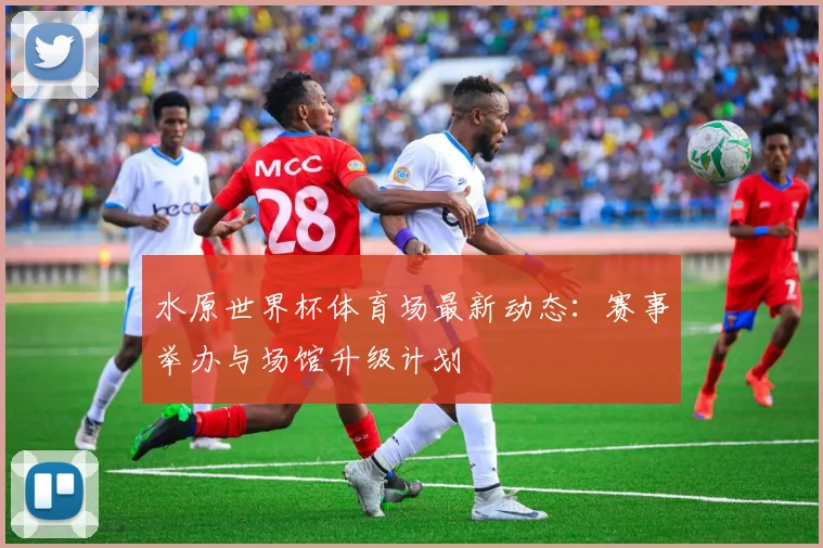 水原世界杯体育场最新动态：赛事举办与场馆升级计划