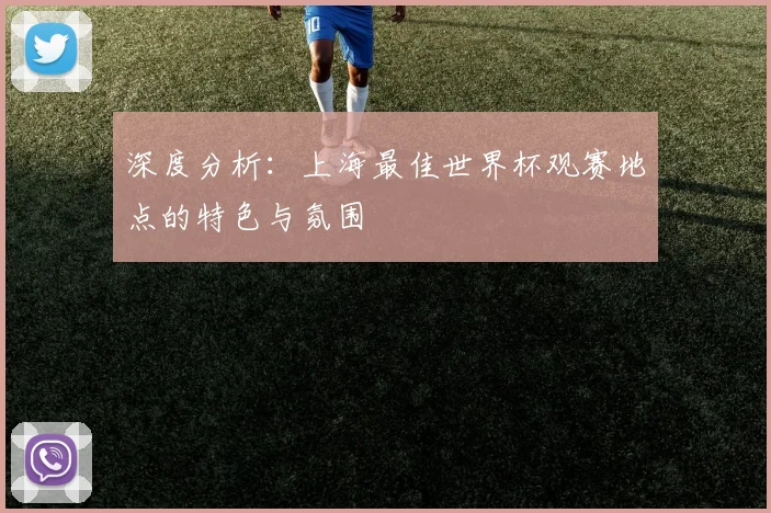 深度分析:上海最佳世界杯观赛地点的特色与氛围